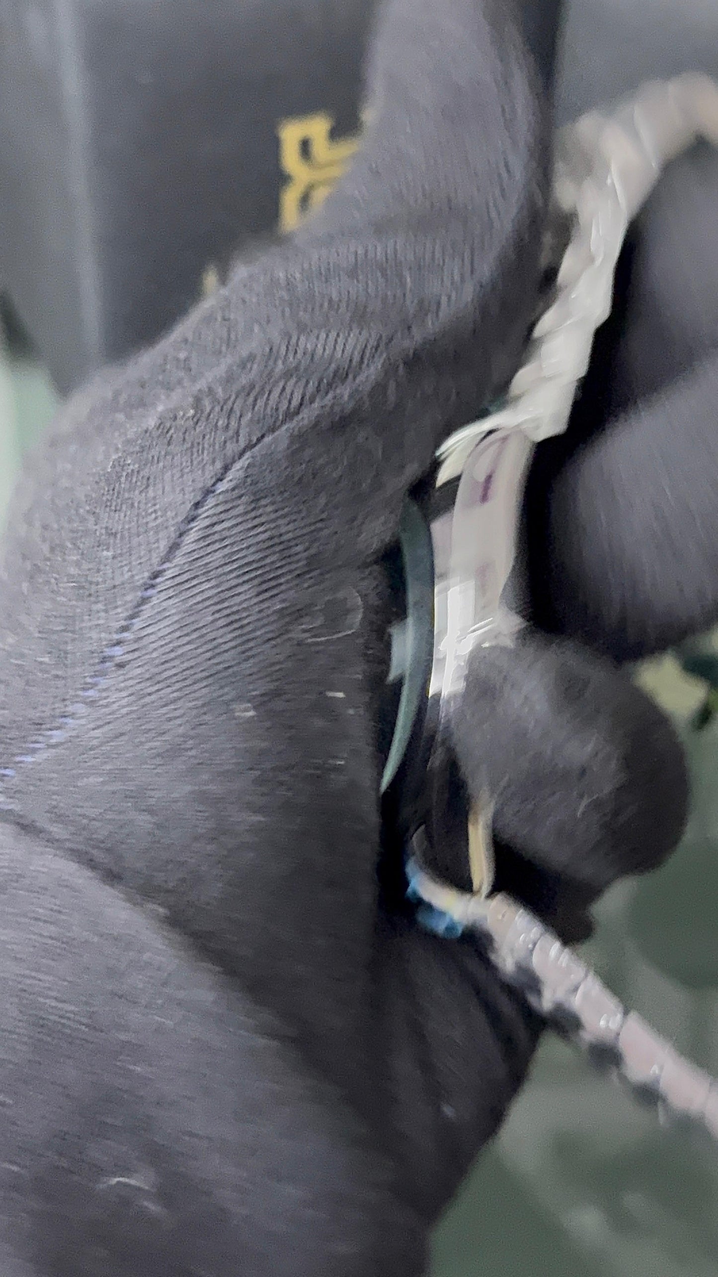 Tissot PRX 1853 Green Dail